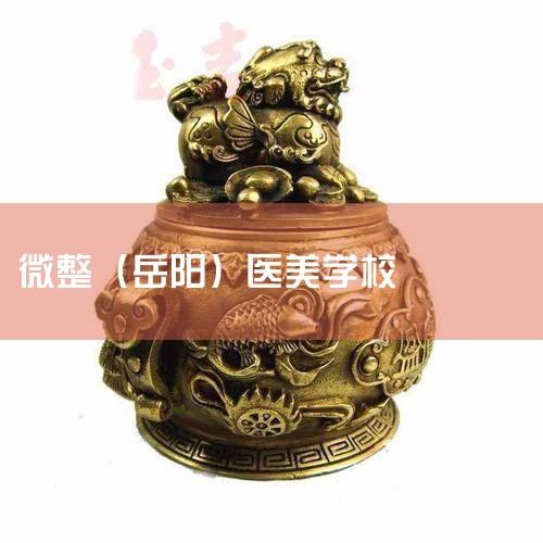 1����ѧ�������ܳǻ�����ݯ��ҽ��΢����ѵѧУ��ѧ�ŶӾ���ḻ���������ƴ�ѧ��ҵ����ʦ����ḻ���ڿ�������ϸ��2����ѧʵ������Уʦ�������ۺ��ۺ�ʵ��ǿ�������Ŷ��ֶ�ý����ң������ң�ͼ��ݵȣ����԰���