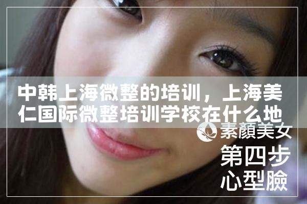 中韩上海微整的培训