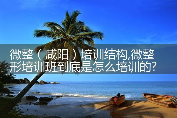 微整(咸阳)培训结构