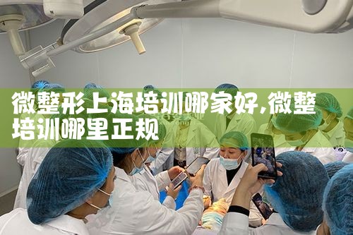 微整形上海培训哪家好