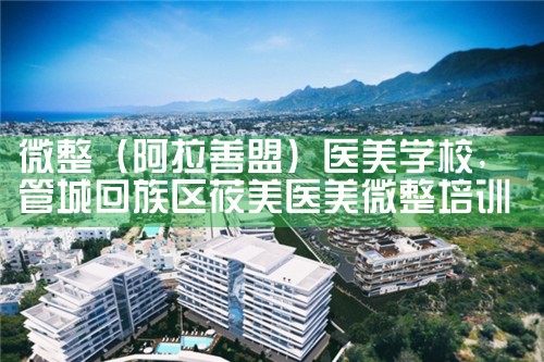 微整(阿拉善盟)医美学校