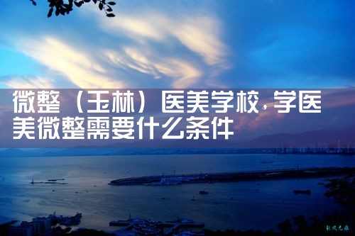 微整(玉林)医美学校