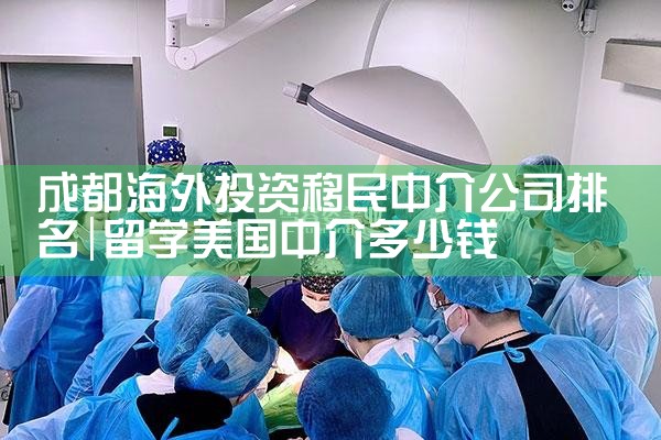 成都海外投资移民中介公司排名