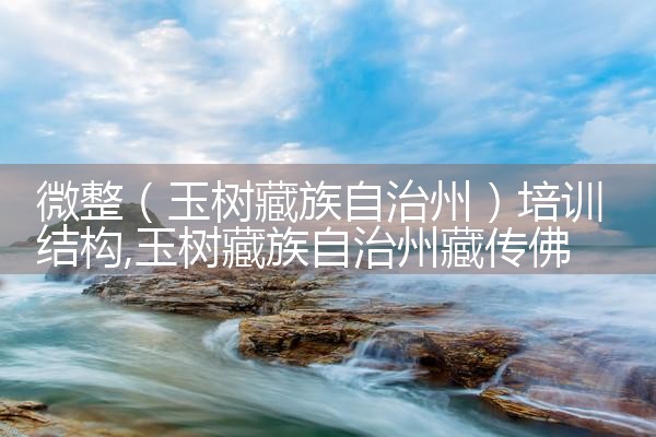 微整(玉树藏族自治州)培训结构