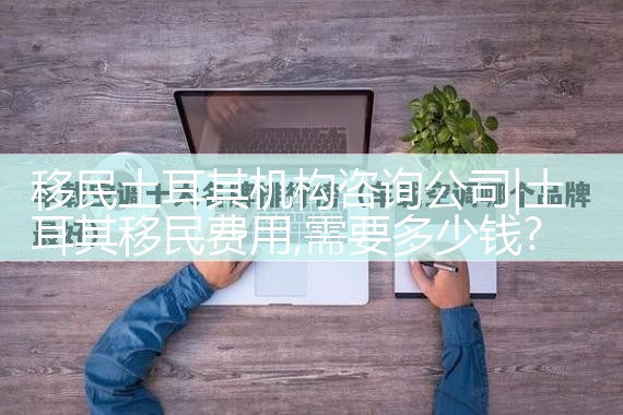 移民土耳其机构咨询公司
