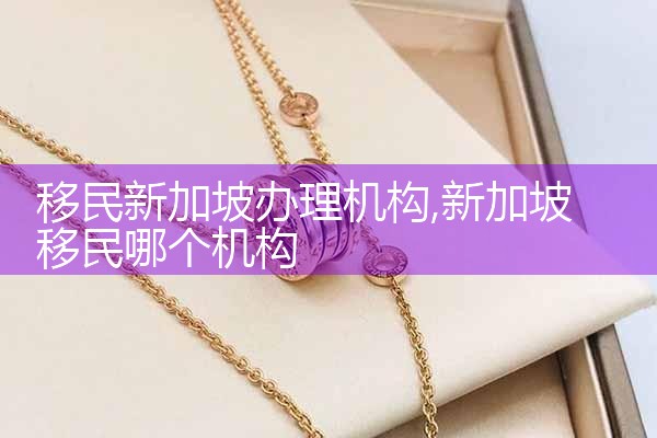 移民新加坡办理机构