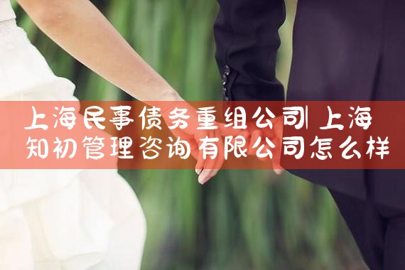上海民事债务重组公司