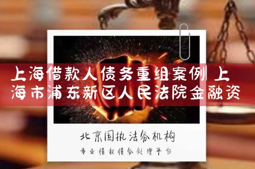 上海借款人债务重组案例