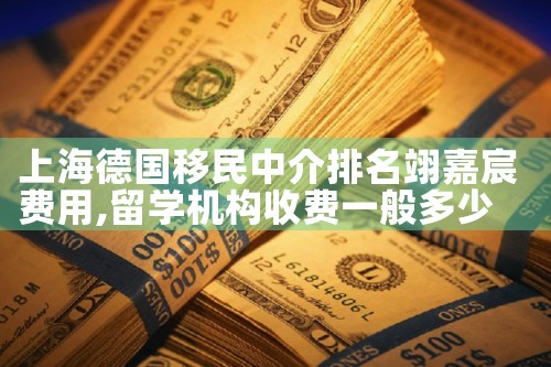 上海德国移民中介排名翊嘉宸费用